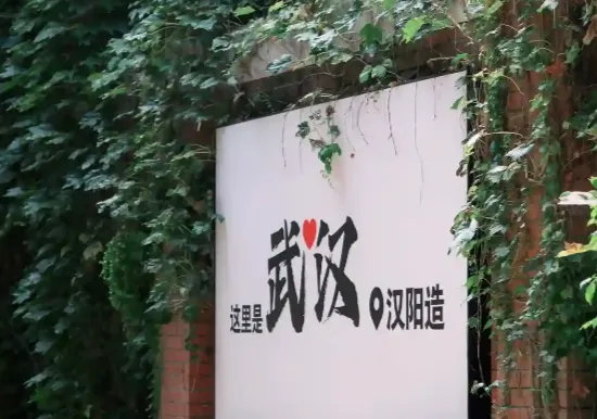区域 汉阳造